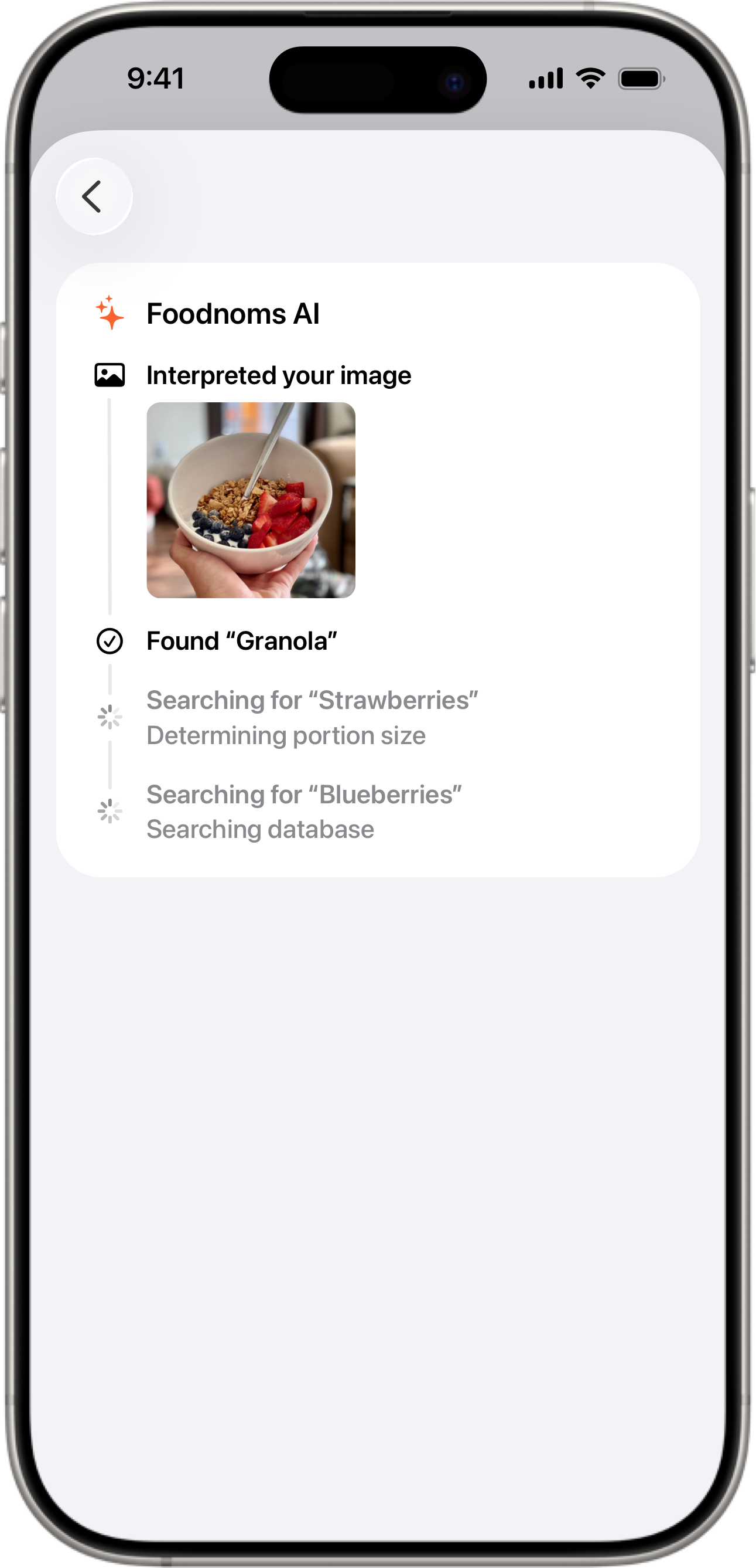 Foodnoms AI results screen
